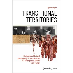 Transitional Territories, Fachbücher von Ayse Güngör
