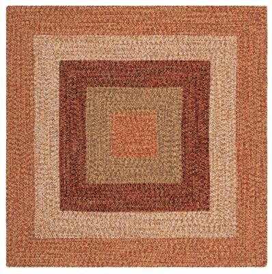 SAFAVIEH Handmade Braided Ecenur Country Rug