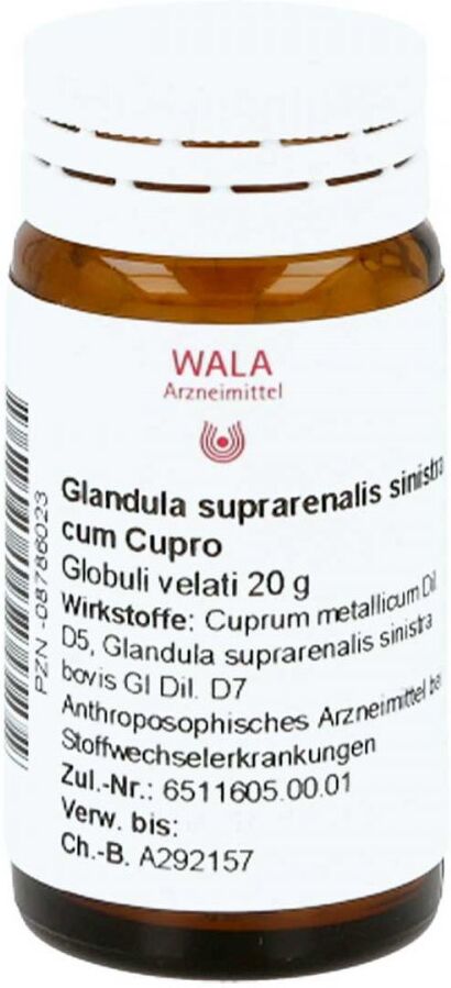 Wala Glandula Supraren. Sinis. cum Cupro Globuli