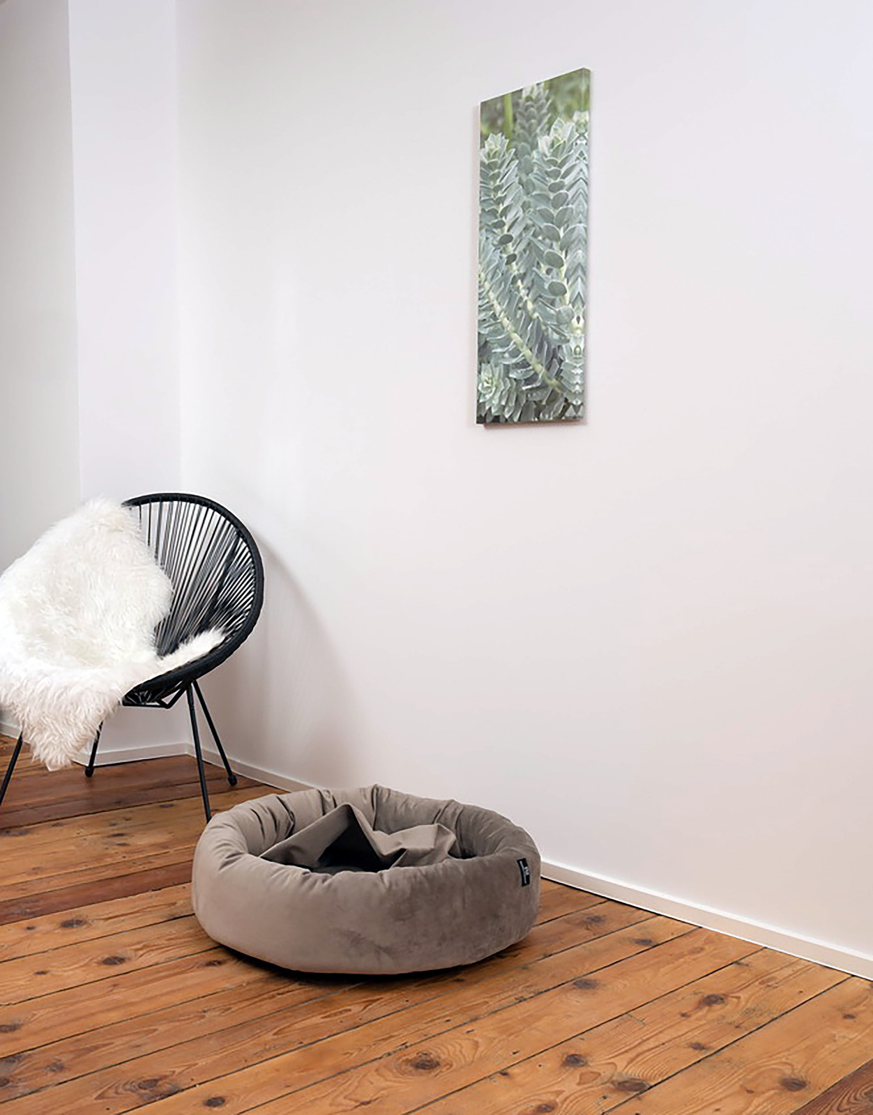 home24 Hondenmand Lajos, Taupe, B: 50 cm, D: 15 cm, H: 50 cm