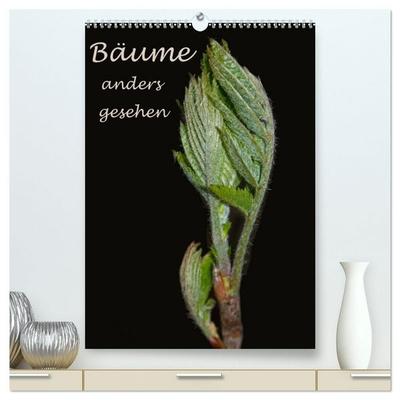 Bäume anders gesehen (hochwertiger Premium Wandkalender 2027 DIN A2 hoch), Kunstdruck in Hochglanz