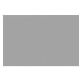 Wittmax Pale Grey 22ml (22 ml) (BCA012)