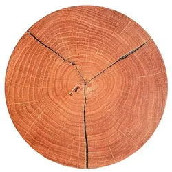 ELOBRA LED-Wandleuchte Havana Kunststoff Braun 19 cm