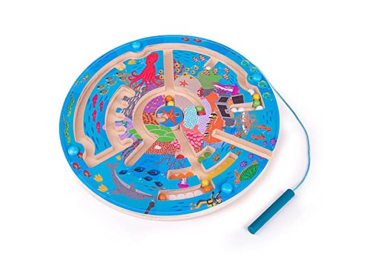 Aquatic Maze Puzzle