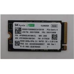 Lenovo Ssd Asm (256 GB, M.2 2242), SSD