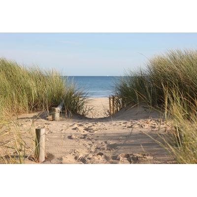 Fototapete PAPERMOON "Strand", bunt, B:4m L:2,6m, Vlies, Tapeten