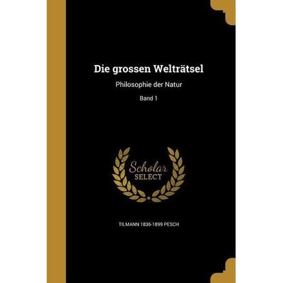 Die grossen Welträtsel, Taschenbuch von Tilmann Pesch, Creative Media Partners, LLC, 978-1-360-00933-9