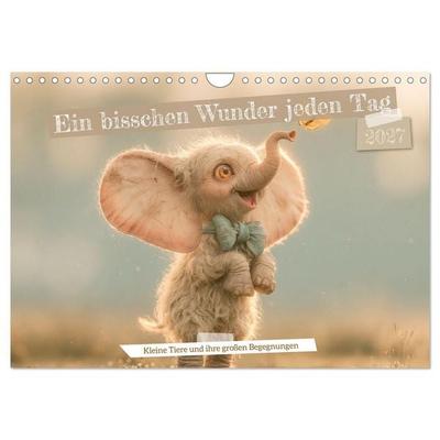 Ein bisschen Wunder jeden Tag (Wandkalender 2027 DIN A4 quer), CALVENDO Monatskalender