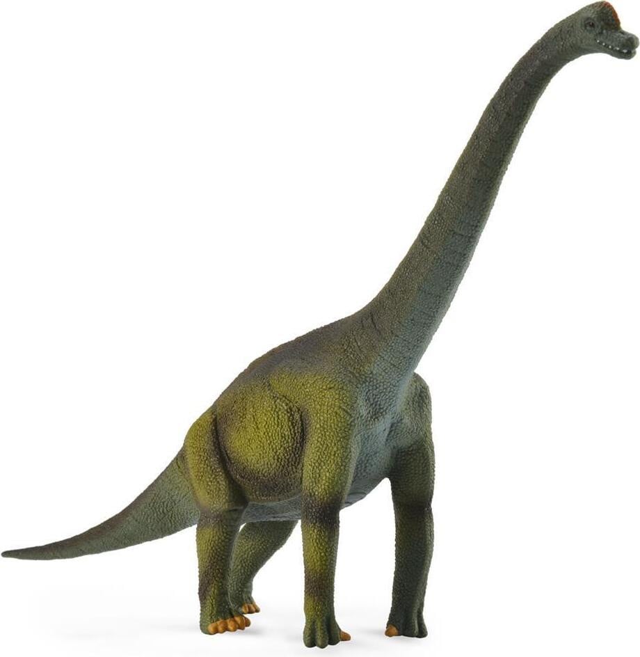 Collecta Brachiosaurus dinosaurus speelfiguur, groen - grote uitvoering