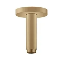 Hansgrohe Duscharm Gebürstete Bronze 27393140