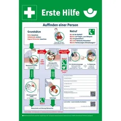 Schild I Erste Hilfe Aushang, DGUV Information 204-001, Kunststoff PS, 395x575mm, DGUV