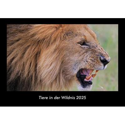 Tiere in der Wildnis 2025 Fotokalender DIN A3