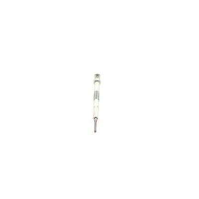 Bosch Glühkerze [Hersteller-Nr. 0250202124] für Mitsubishi