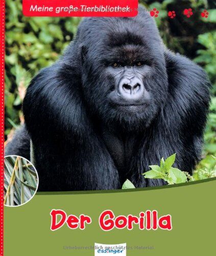 Fabrice Martinez - Der Gorilla - Preis vom 19.10.2026 19:33:35 h