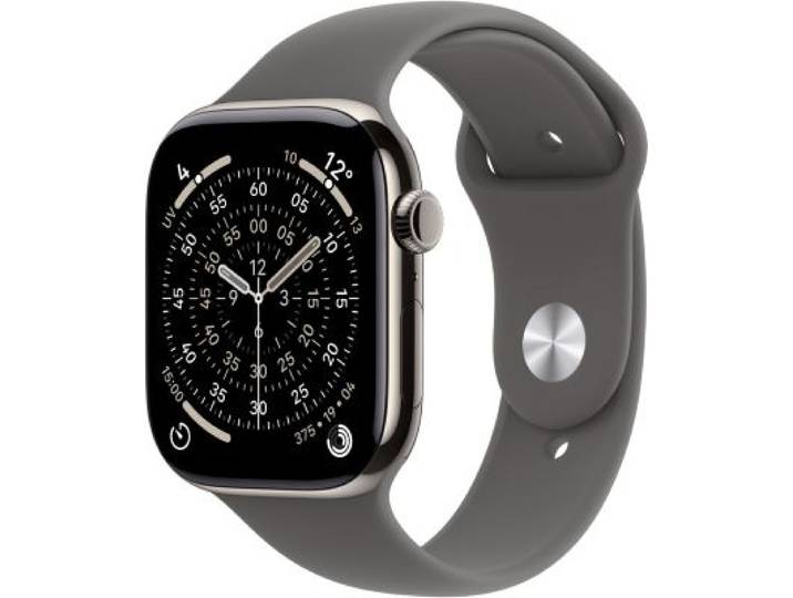 Apple Watch - Montre Connectée 42mm Tit Naturel / Gris Serie 11 S/M Cellular