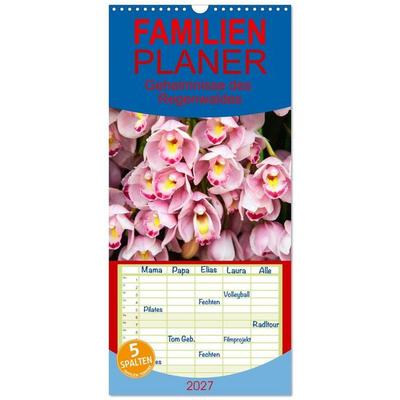Familienplaner 2027 - Geheimnisse des Regenwaldes mit 5 Spalten (Wandkalender, 21 x 45 cm) CALVENDO