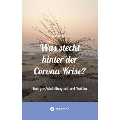 Was steckt hinter der Corona-Krise?, Taschenbuch von Monika Auer, Tredition, 978-3-347-95592-9