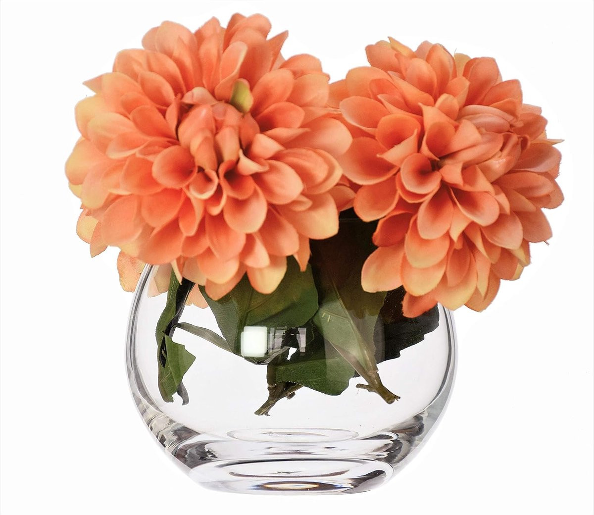 Handgeblazen Glazen Viskom - Decoratieve Transparante Vaas voor Bloemen - 12 x 9,5 cm