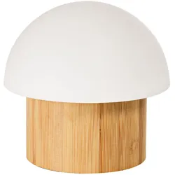 DUNI LED Lampe Konzept Brother