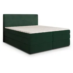 BOXSPRINGBETT MATERN 140x200 cm mit Matratze und Topper - Grün