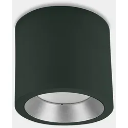 LEDS C4 Deckenleuchte IP66 COSMOS 23W 3000K BIRKENGRUN 2061lm LEDS-15-9904-E3-CL