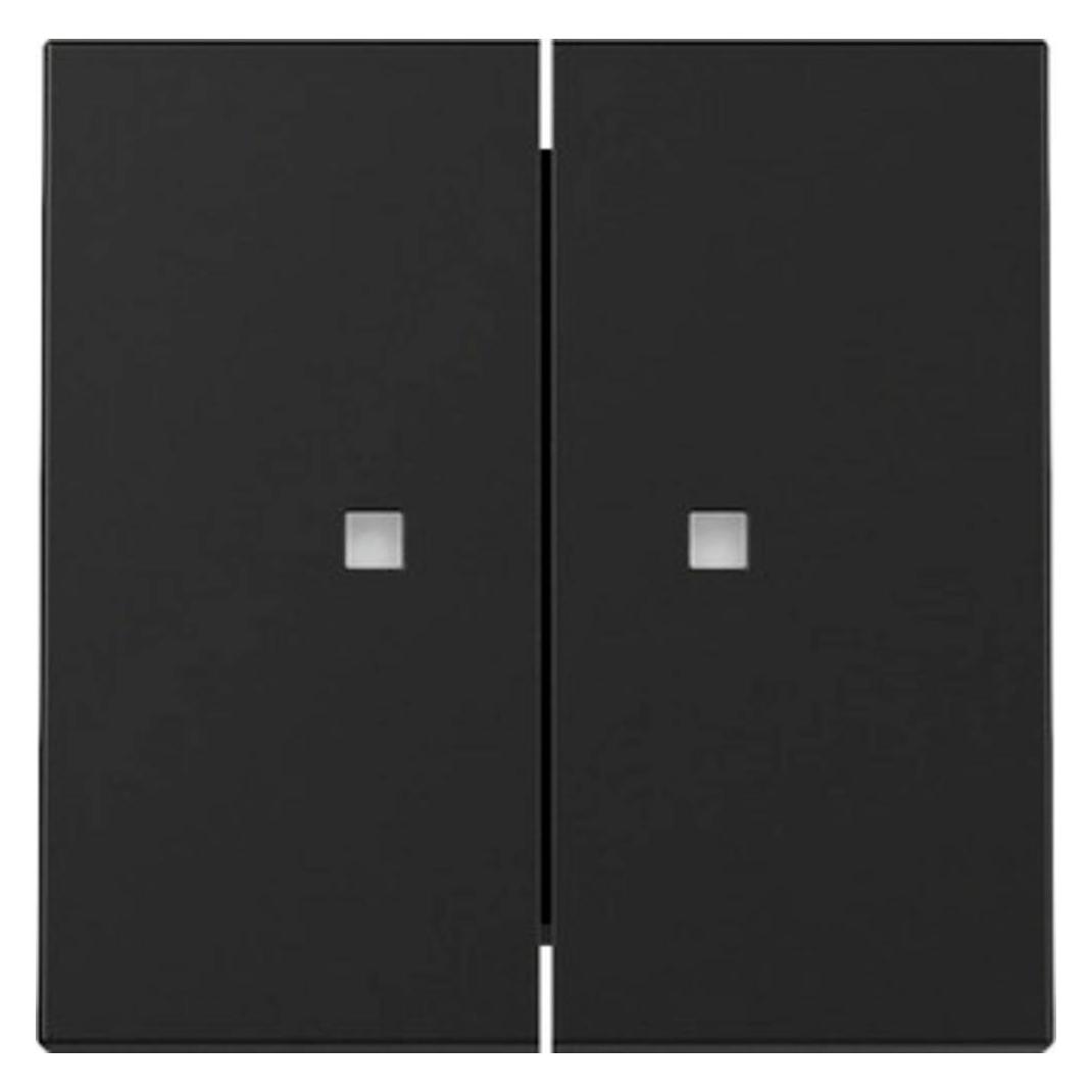 Gira Wippe 2f Kontrollf. (3631005)