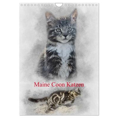 Maine Coon Katzen (Wandkalender 2027 DIN A4 hoch), CALVENDO Monatskalender