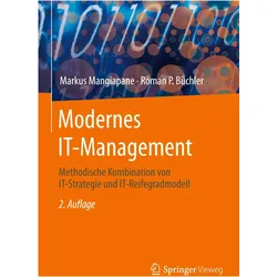 Modernes IT-Management, Fachbücher von Roman P. Büchler, Markus Mangiapane
