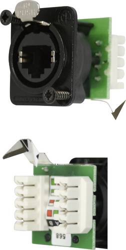 Neutrik NE8FDV-YK-B RJ45 Datensteckverbinder etherCon D Serie NE8FDV-YK-B Buchse, gerade NE8FDV-YK-B Pole: 8P8C Schwarz 1 St.