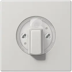 Jung Abdeckung LS 1941 LG