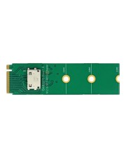 Delock M.2 Key M zu 1 x OCuLink SFF-8612 Konverter (64040)