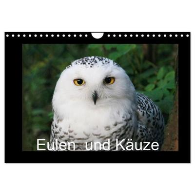 Eulen und Käuze (Wandkalender 2027 DIN A4 quer), CALVENDO Monatskalender