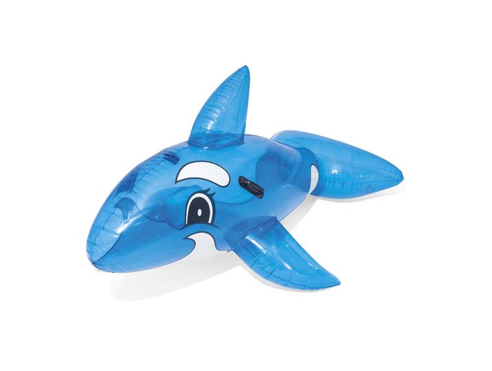 Schwimmtier Wal