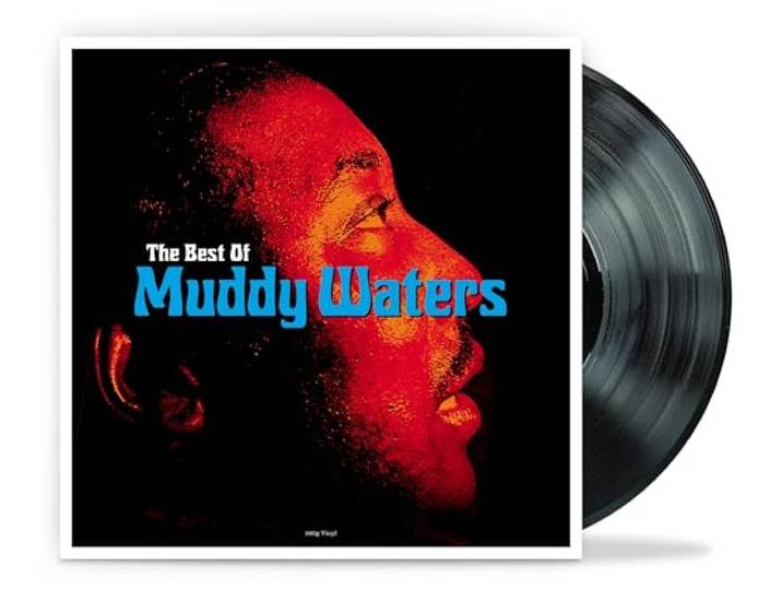 The Best Of Muddy Waters