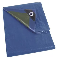Perel Abdeckplane, 20 Ösen, verstärkte Ecken, rechteckig, Blau/Grün, 70 g/m2, 2 x 8 m