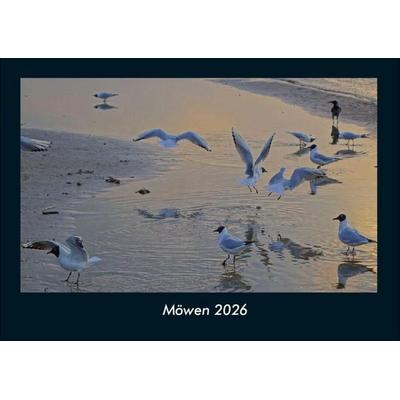 Möwen 2026 Fotokalender DIN A4