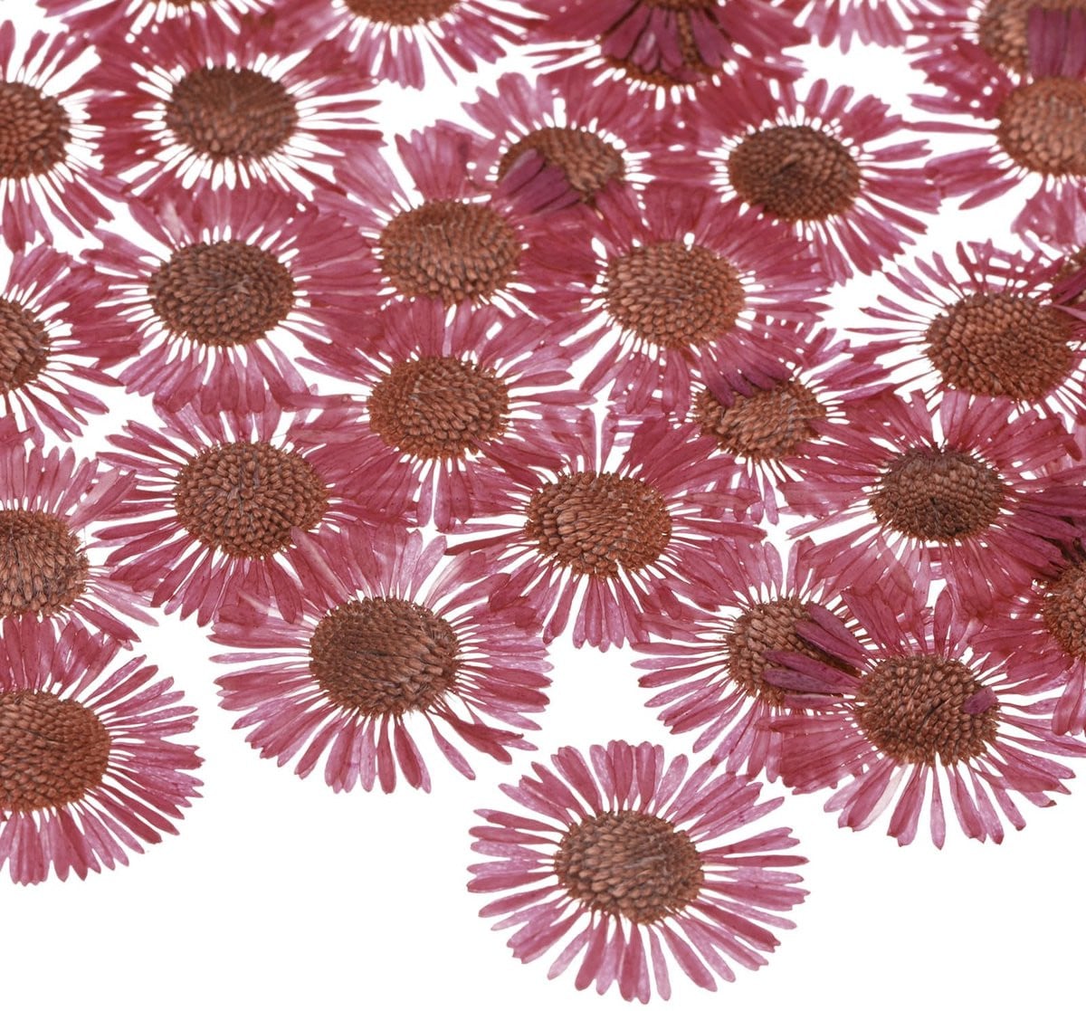 60 stuks gedroogde geperste bloemen voor ambachten, roze
