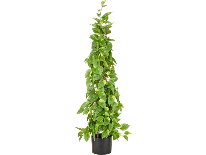Kunstpflanze CREATIV GREEN Epipremnum , grün, H:125cm, Obermaterial: 100% Kunststoff, Kunstpflanzen, Kunstpflanze, in Pyramidenform