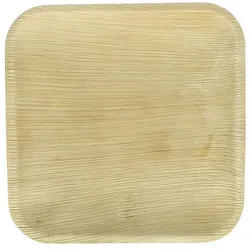 MONOUSO - Palmblatt Teller Quadratisch 18x18cm (25 Stück)