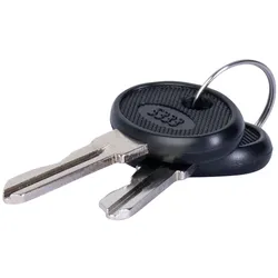 f-tronic 7110313 Schlüssel EuroKey 5333 ZSSE
