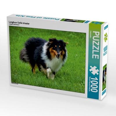 CALVENDO Puzzle Langhaar Collie tricolor | 1000 Teile Lege-Größe 64x48cm Foto-Puzzle für glückliche Stunden