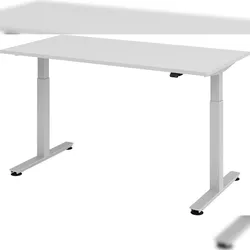 bümö elektrisch höhenverstellbarer Schreibtisch grau 160x80 cm - Schreibtisch höhenverstellbar elektrisch, elektrischer Schreibtisch & Gaming Tisch,