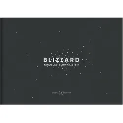Blizzard, Fachbücher von Yaroslav Schwarzstein