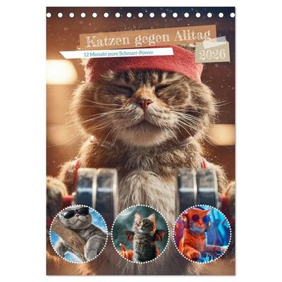 Katzen gegen Alltag (Tischkalender 2026 DIN A5 hoch), CALVENDO Monatskalender