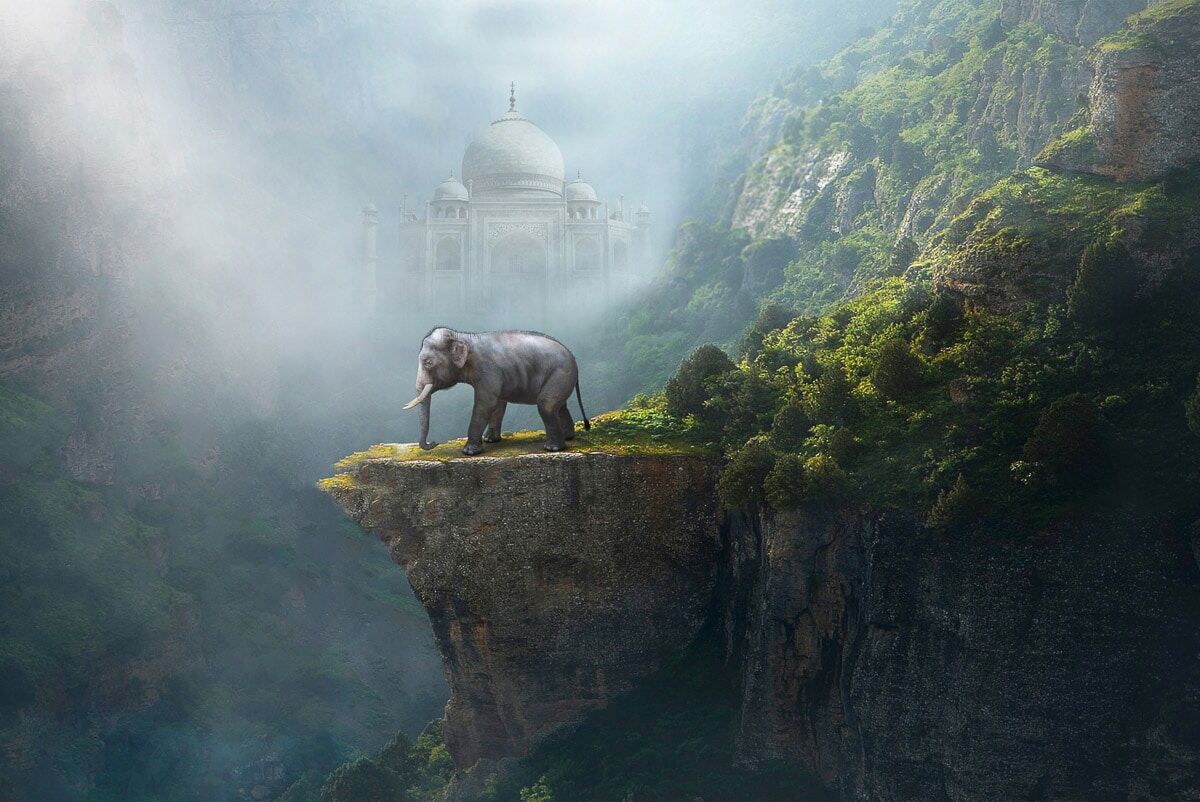 Fototapete PAPERMOON "Indischer Elefant Taj Mahal", bunt, B:4m L:2,6m, Vlies, Tapeten, Fototapete bunt B/L: 4m x 2,6m, Bahnen: 8 Stk.