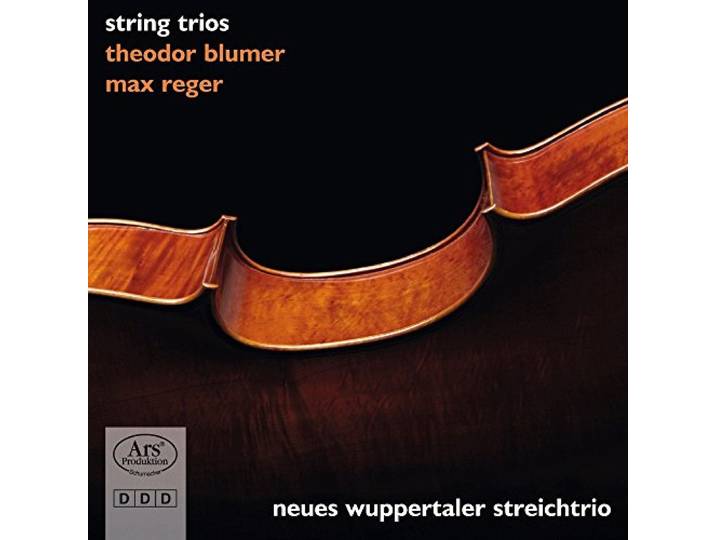 String Trios: Trio Op55