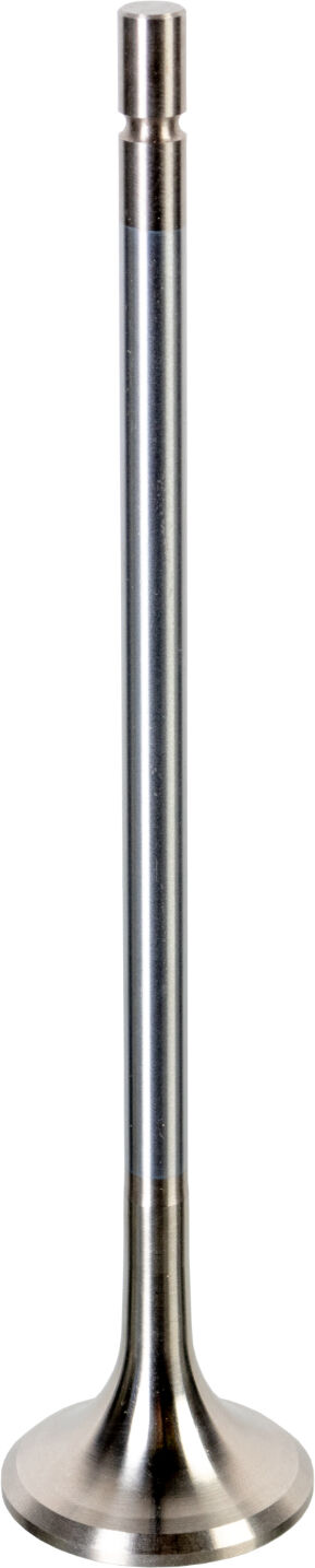 Febi Bilstein Auslassventil 175553 Für Volvo Renault Trucks