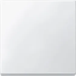 Merten 434119 Wippe, polarweiß, System M