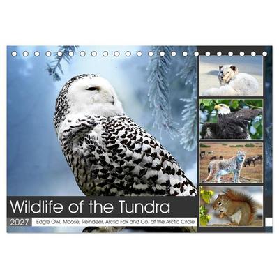 Wildlife of the Tundra (Desk Calendar 2027 DIN A5 landscape), CALVENDO 12 Month DeskCalendar