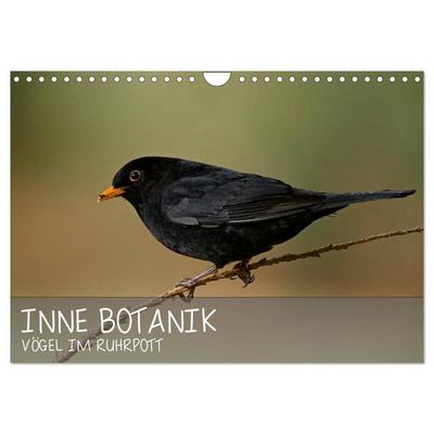 INNE BOTANIK - Vögel im Ruhrpott (Wandkalender 2026 DIN A4 quer), CALVENDO Monatskalender